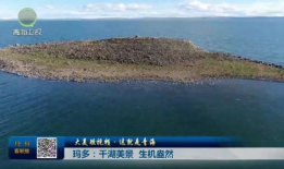 美景短视频,美景短视频精选集锦