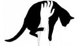 猫漫画黑白,漫绘时光里的喵星人奇遇记